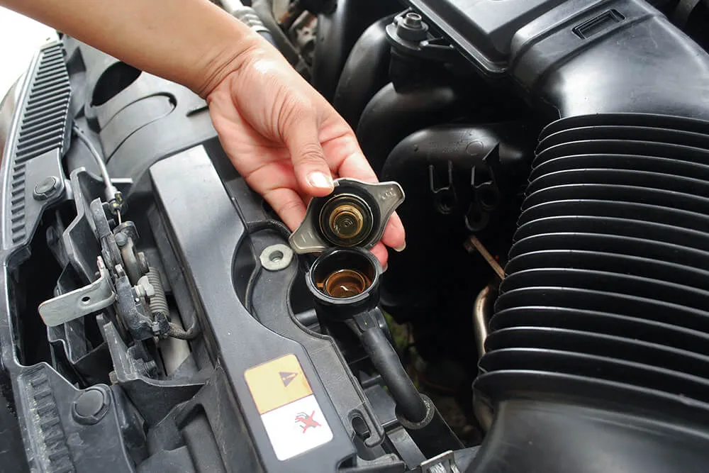 Understanding Your Vehicle's Cooling System