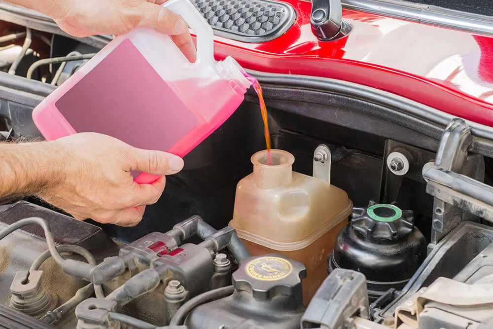 How to Check and Maintain Your Car's Fluids for Maximum Performance